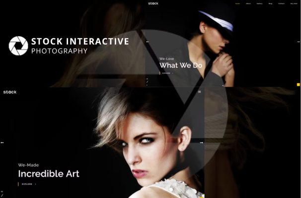 DISEÑO WEB MAXILAMISTA
